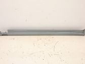 Sill/side skirt trim