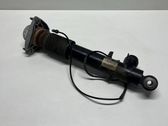 Rear shock absorber/damper