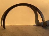 Fender trim (molding)