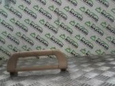 Front interior roof grab handle