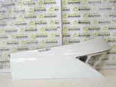 Rear fender molding trim