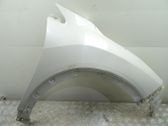 Fender