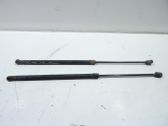 Tailgate/trunk strut/damper