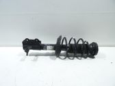 Front shock absorber with coil spring