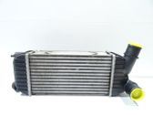 Intercooler radiator