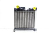 Intercooler radiator