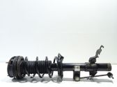 Rear shock absorber/damper