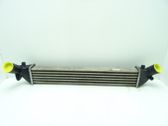 Intercooler radiator