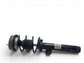 Front shock absorber with coil spring