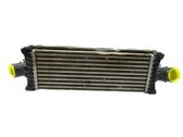 Intercooler radiator