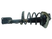 Front shock absorber with coil spring