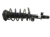 Front shock absorber with coil spring