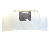 Engine bonnet/hood