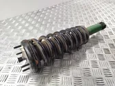 Rear shock absorber with coil spring