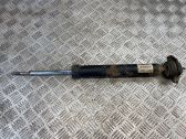 Stoßdämpfer hinten
