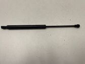Front bonnet/hood damper/strut