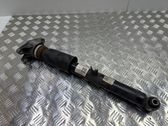Rear shock absorber/damper
