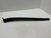 Windshield trim