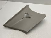 (D)pillar trim (top)