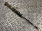 Rear shock absorber/damper