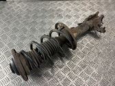 Front shock absorber with coil spring