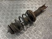 Front shock absorber with coil spring