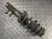 Front shock absorber with coil spring