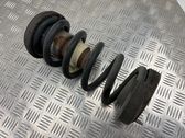 Rear coil spring