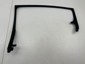 Rear door glass trim molding