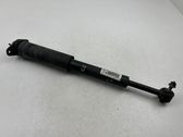 Rear shock absorber/damper