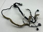 Front door wiring loom