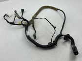 Front door wiring loom