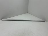 Rear door glass trim molding