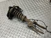 Front shock absorber with coil spring