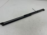 Tailgate/trunk strut/damper