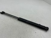 Tailgate/trunk strut/damper