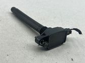 High voltage ignition coil