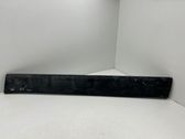 Front door trim (molding)