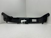 Radiator trim