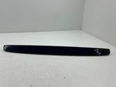 Trunk door license plate light bar