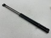 Tailgate/trunk strut/damper