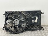 Electric radiator cooling fan