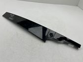 Other rear door trim element