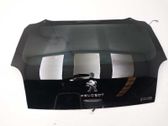 Puerta del maletero/compartimento de carga