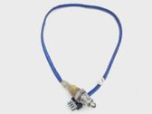 Lambda probe sensor