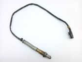 Sonde lambda