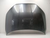 Motorhaube