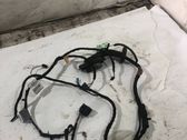 Front door wiring loom