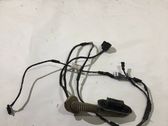 Rear door wiring loom