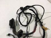 Front door wiring loom
